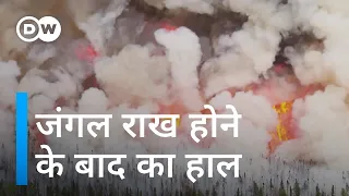 कनाडा के जंगलों में आग लगने के 1 साल बाद का हाल [How are Canada forests faring after the wildfires?]