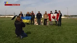 Новости 17:00 за 08 октября 2017 года