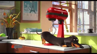 SECRET LIFE OF PETS - Buddy