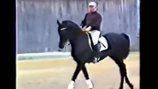 Dressage Legend Willi Schultheis - Schooling At Home