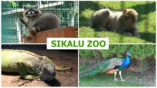 Živalski vrt Sikalu Zoo (Radenci)