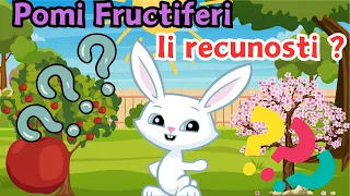 Invatam Pomi Fructiferi | Desene Educative