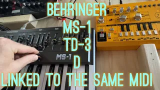 Behringer MS-1 TD-3 D Linked to the same midi