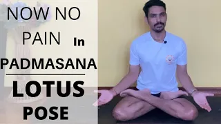 No more pain in padmasana | how to do padmasana | lotus pose step by step step | correction of asana