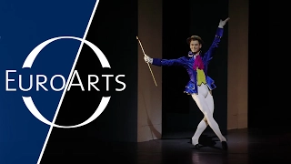 EuroArts Showreel 2017