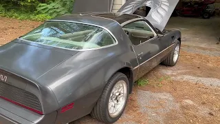 1980 Trans Am Walkaround.