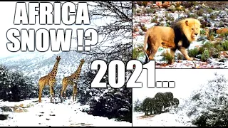 It's SNOWING in AFRICA ! What is Going On? Snow in Africa,Kimberley. (July 23,2021)