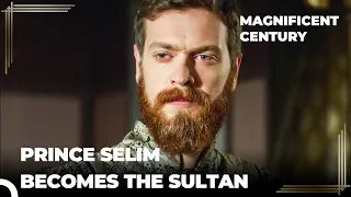 Prince Selim's Dreams Are Coming True |  Magnificent Century