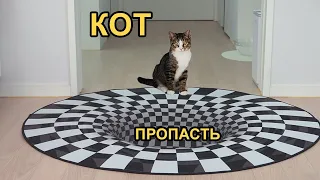 Кот VS Оптическая иллюзия