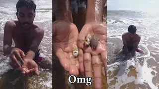 🏖How to catching sand FLEAS 🏖[lion podda] #shorts