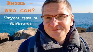 Жизнь - это сон? Чжуан-цзы и бабочка. Китайская философия.