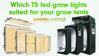 Which TS LED grow light is suitable for your grow tents?