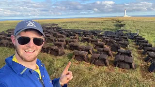 A close encounter with SINGING SEALS & cutting peat for fuel | Life on a REMOTE Orkney island farm