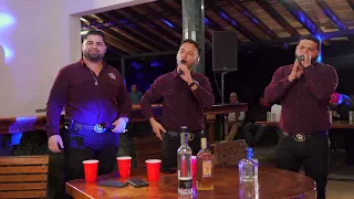 Cariñito De Mi Vida (En Vivo) - Banda Corona Del Rey