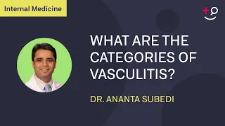 What are the categories of vasculitis and how are they classified?