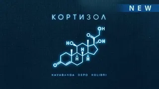 kavabanga Depo kolibri - Кортизол (Новинка 2024🎧)