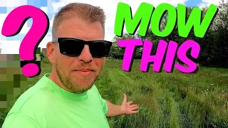 1st Tall Grass Cutting - Worst Overgrown Lawn Cleanup with amazing mowing results!