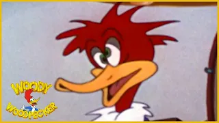 Woody Woodpecker | Smoked Hams | Woody Woodpecker Full Episode | Old Cartoons|Videos for Kids