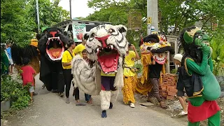 Dikejar Barongan ‼️ Kirab Meriah Barongan Macan-macanan Barongsai New Pandawa | Hidayah Demak