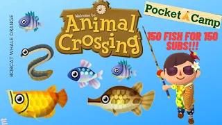 Catching 150 FISH FOR 150 SUBSCRIBERS (Pocket Camp) 😓🎣