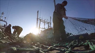 Shrimp Fishing - Fall 2017 Continued...