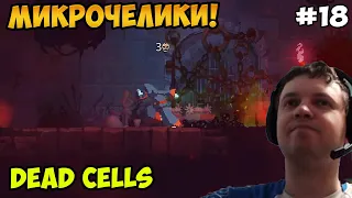 Папич играет в Dead Cells! Микрочелики! 18