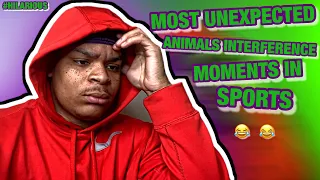 ReDon Barber Reacts | MOST UNEXPECTED ANIMALS INTERFERENCE MOMENTS IN SPORTS ( HILARIOUS )