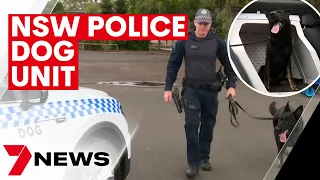 The NSW Police dog squad reveal their new vehicles | 7NEWS