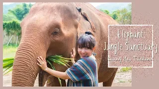 Chiang Mai, Thailand: Elephant Jungle Sanctuary