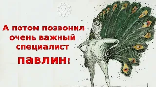 А потом позвонил павлин. Разговоры с коллекторами.  Переадресация. Банкротство. Долги.