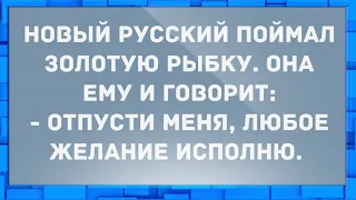 Новый русский поймал золотую рыбку. Анекдоты.