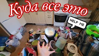 #33 Из Германии в Россию / Ну что "поехали" ? 🗑🧹🪣🧼