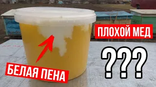 ЧТО ЗНАЧИТ БЕЛАЯ ПЕНА В МЁДЕ ???