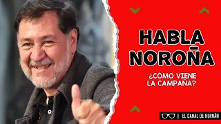 Habla Noroña ¿Cómo viene la campaña? | Hernán Gómez