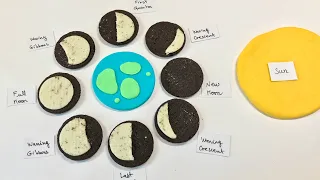 Oreo Moon Phases Activity 🌑🌒🌓🌔🌕🌖🌗🌘🌑