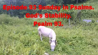 Episode 93  Psalms.