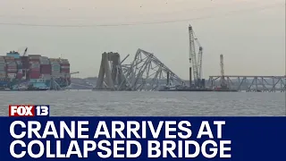 Massive crane arrives to help clear Baltimore bridge collapse | FOX 13 Seattle