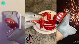 Shark Puppet Best TikTok Compilation 2020 | All Shark Puppet Funny Videos