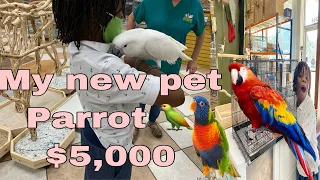 Shopping for parrot bird | getting my finch bird a partner| and more vlog