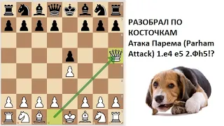 Теория Атаки Парема (за белых). Разобрал по косточкам (Parham Attack)