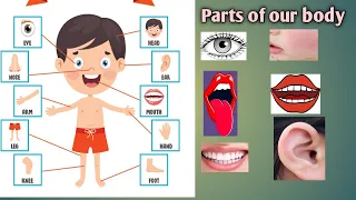 Learn parts of our body|body parts in english language. #partsofourbody