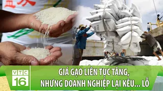 Nghịch lý: Giá gạo liên tục tăng, nhưng doanh nghiệp lại kêu... lỗ | VTC16