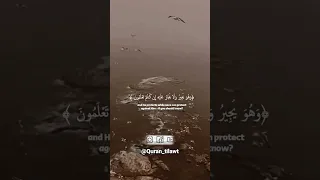 سيقولون لله 🥺 تلاوة مؤثرة مبكية| الشيخ ياسر الدوسري