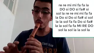 The lonely shepherd     Recorder ( flute à bec ) tutorial 2020