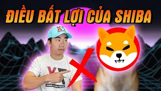 5 điều bất lợi của Shiba Inu mà nhà đầu tư chưa biết tới !!! | Thinksmart Brother