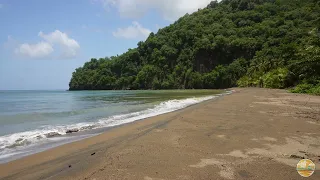 4k UHD Beach Ambiance On A Tropical Island -  Ocean Waves Sounds - Nature ASMR