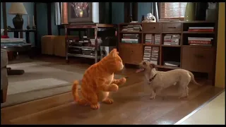 Garfield La película : Garfield & Odie Bailan Juntos