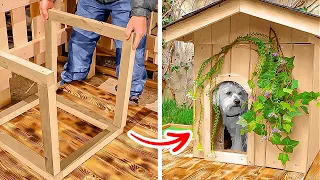DIY House for a Dog Made by the Master