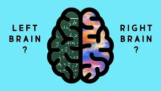 What's the Difference Between the Right Brain and Left Brain?