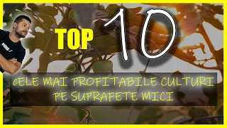 Cele mai Profitabile 10 Culturi pe Suprafete Mici